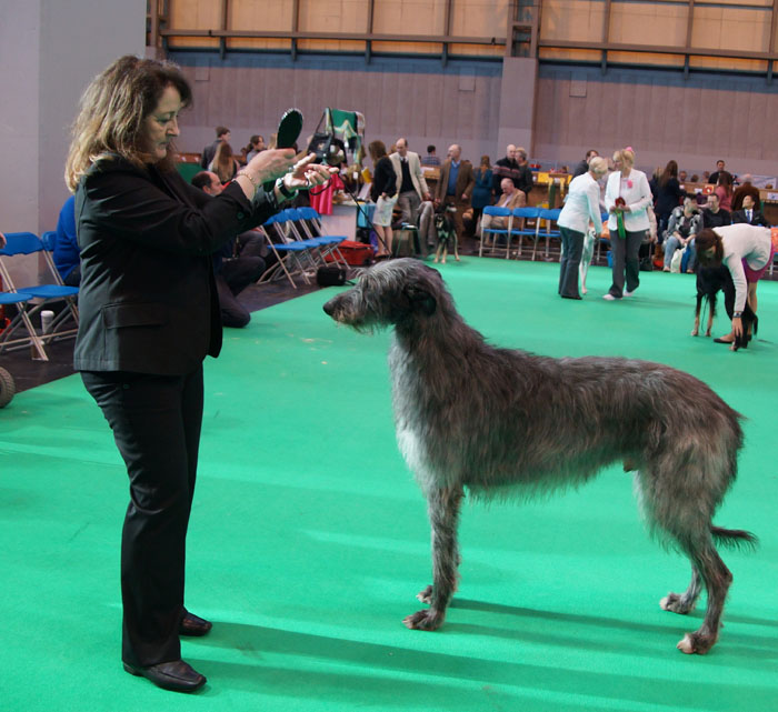 RCC Winners Crufts 2015